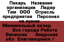 Пекарь › Название организации ­ Лидер Тим, ООО › Отрасль предприятия ­ Персонал на кухню › Минимальный оклад ­ 20 000 - Все города Работа » Вакансии   . Амурская обл.,Благовещенск г.